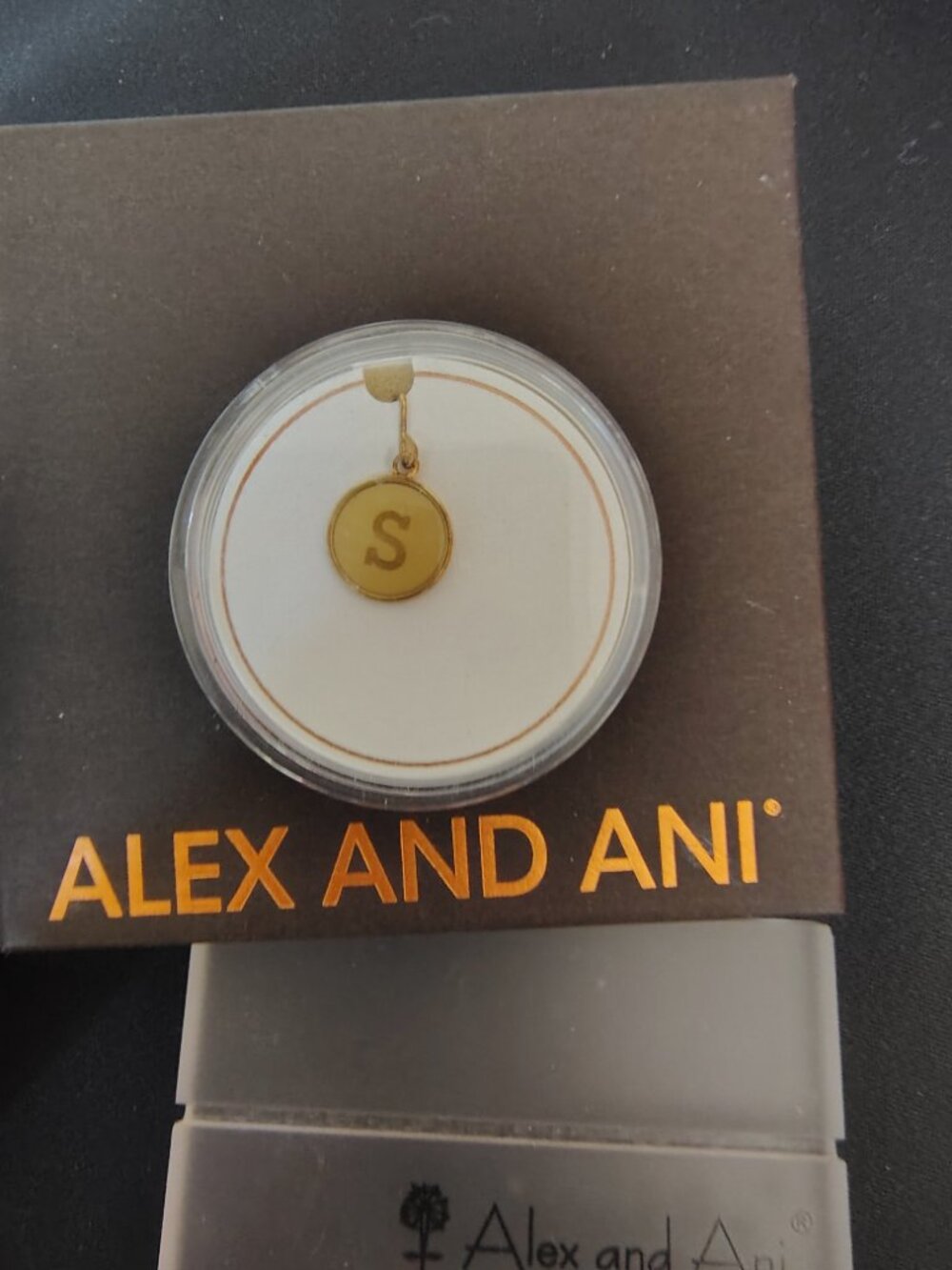 Alex and Ani 14kt Sterling Silver Initial S Charm 889